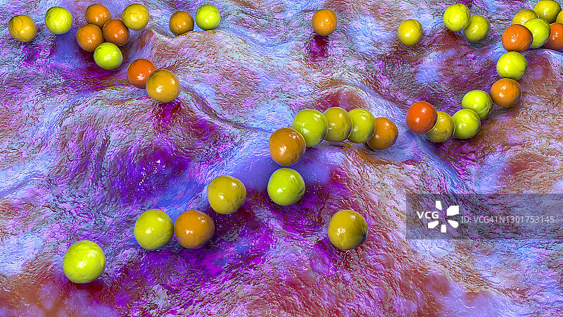 化脓性链球菌细菌，图示图片素材