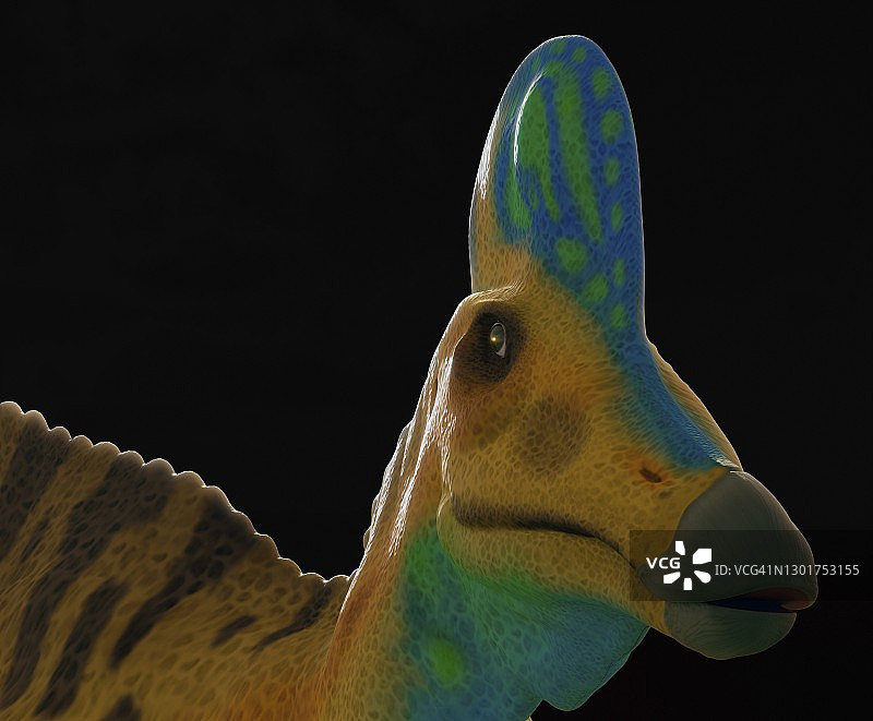 冠龙恐龙头部图片素材