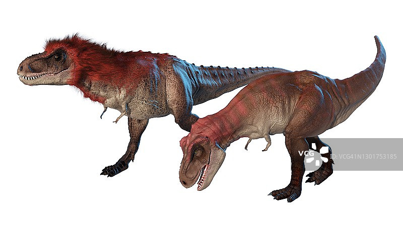 一对霸王龙艺术画图片素材