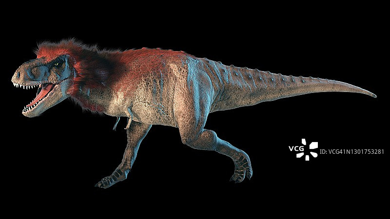 带羽毛的霸王龙艺术作品图片素材