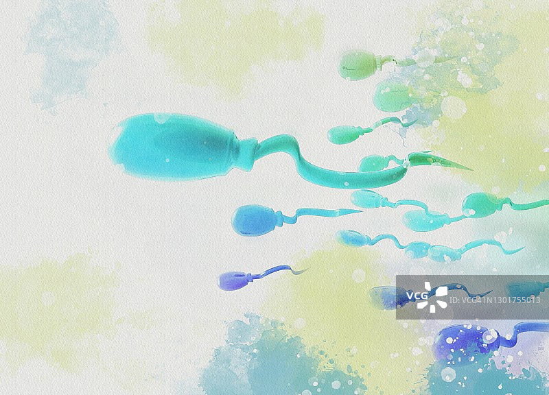 人类精子，图示图片素材