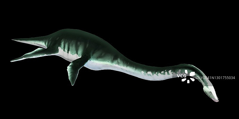 蛇颈龙艺术作品图片素材