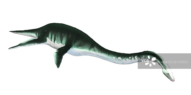 蛇颈龙艺术作品图片素材