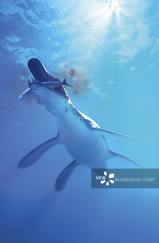 滑齿龙海洋爬行动物示意图图片素材