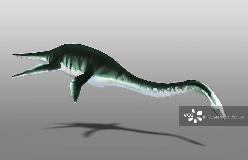 蛇颈龙艺术作品图片素材