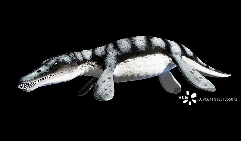 滑齿龙海洋爬行动物示意图图片素材