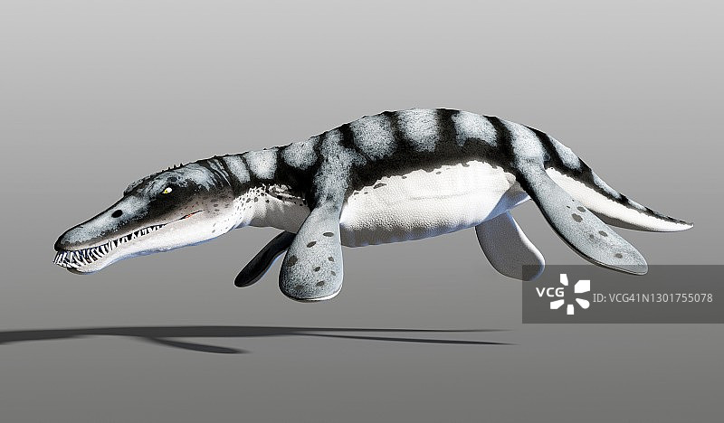 滑齿龙海洋爬行动物示意图图片素材