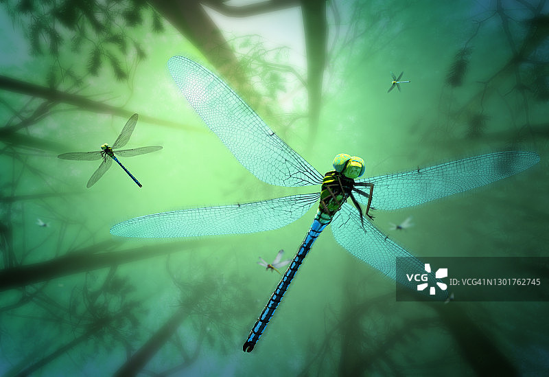 史前巨型蜻蜓插画图片素材