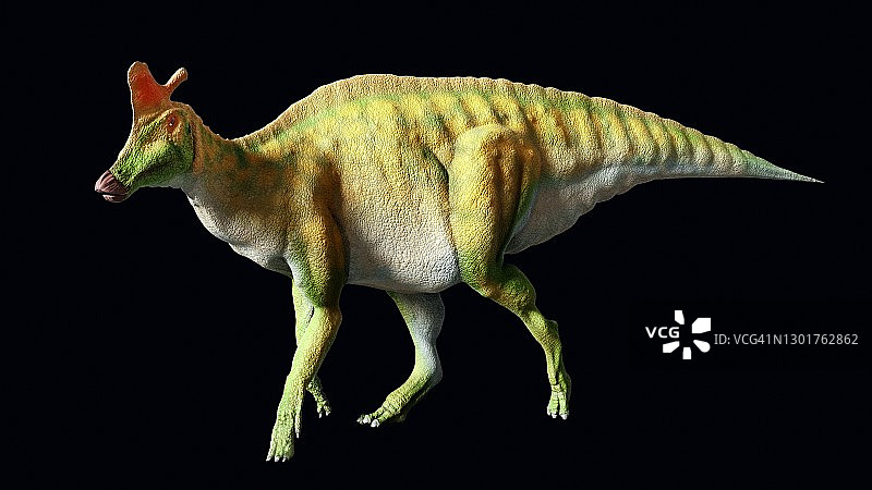 赖氏龙的艺术图图片素材