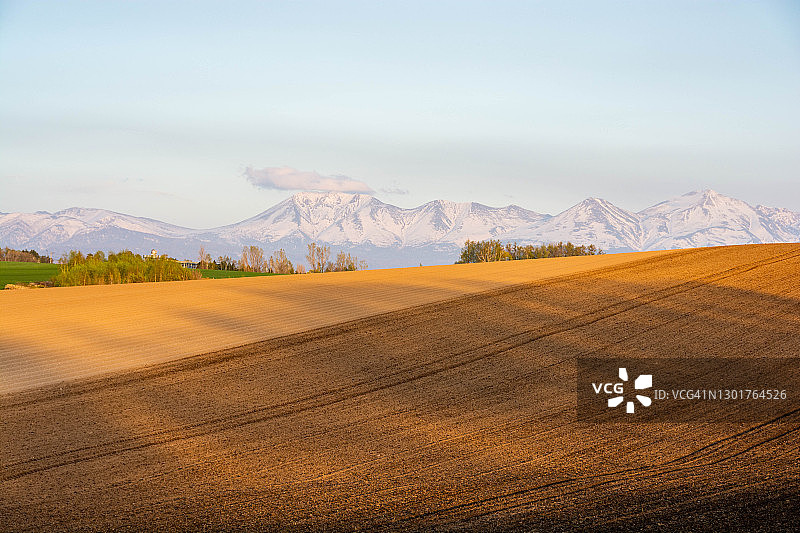 雪山与黄昏时分的春日田野图片素材