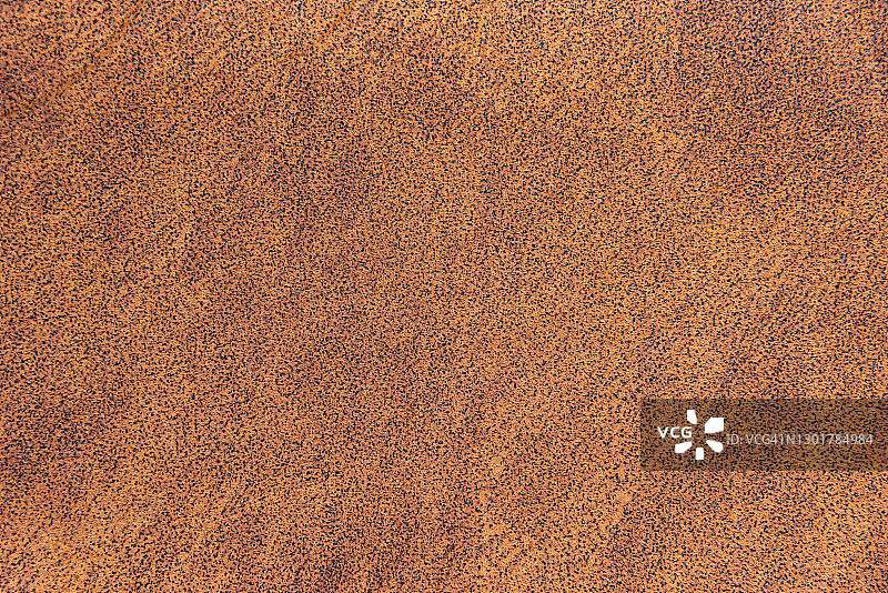 橙色表面上的黑色点状腐蚀锈金属纹理图片素材