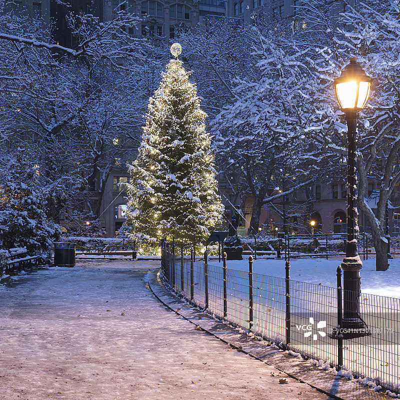 美国纽约市麦迪逊广场公园的圣诞树夜景图片素材