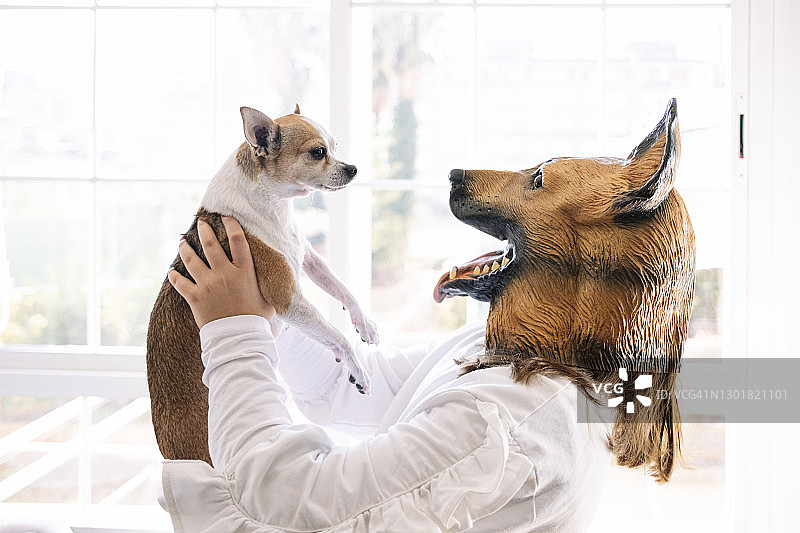 戴着狗面具、抱着小狗站在家里的女孩图片素材