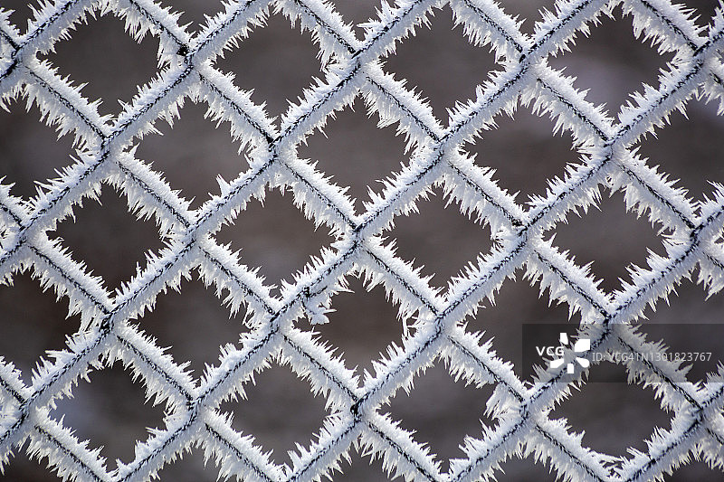 结霜的栅栏特写图片素材