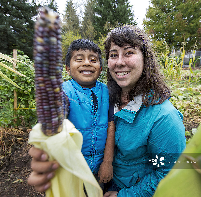 一位微笑的成年妇女和一位小男孩在公共社区花园里收获玉米图片素材
