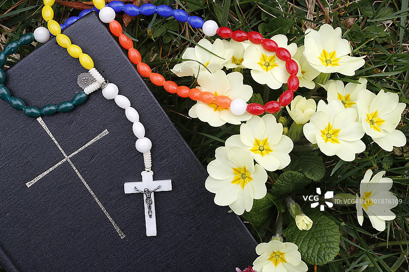 欧洲法国：草地上的《圣经》与报春花图片素材