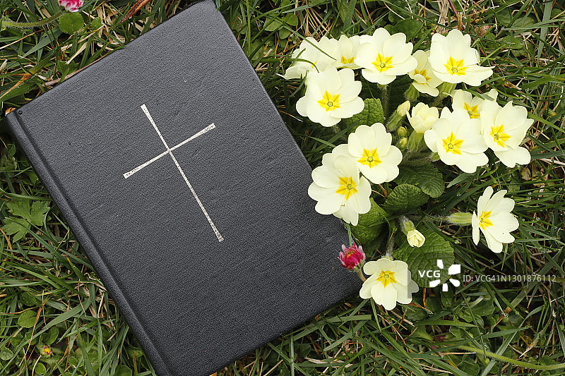 欧洲法国：草地上的《圣经》与报春花图片素材