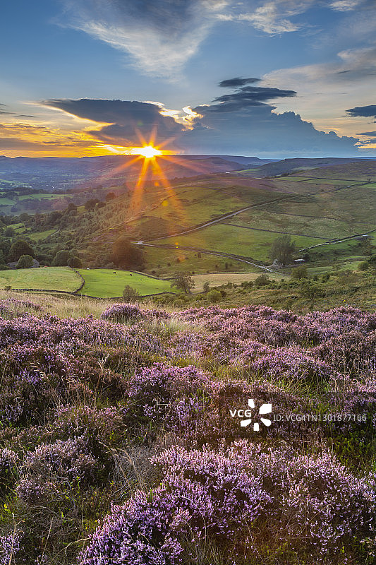 夕阳下的峰区国家公园荒原景观图片素材