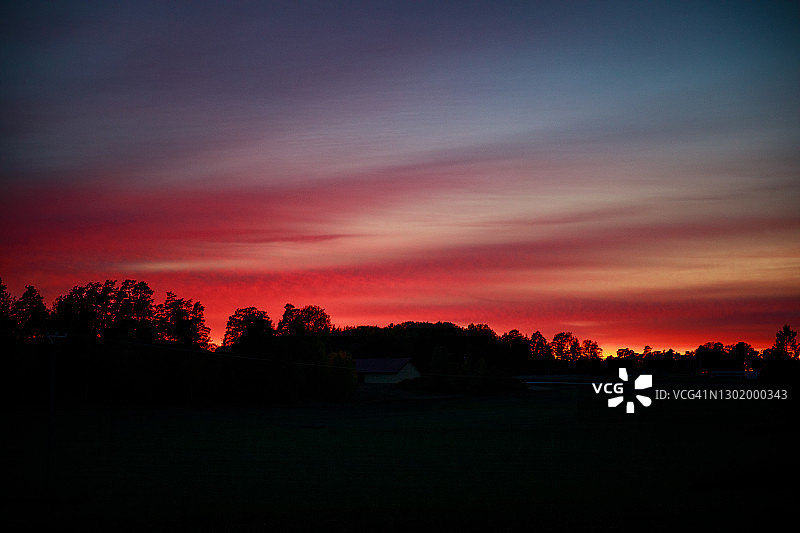 瑞典皇后岛日落时分的树木剪影图片素材