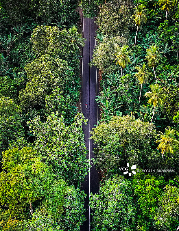 丛林中的道路航拍图片素材