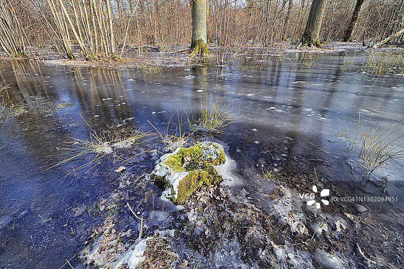 法国塞纳-马恩省森林的洪水和冰图片素材