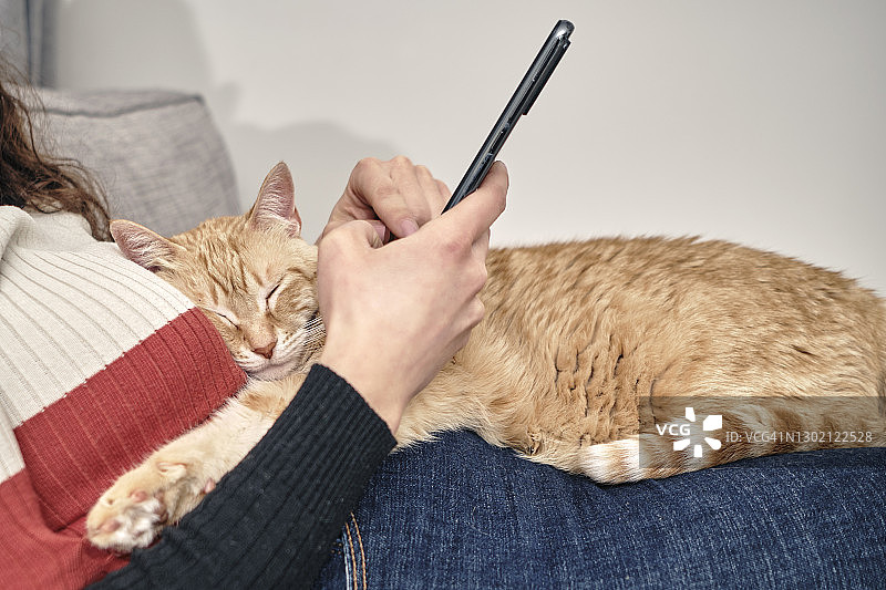 猫睡在玩手机的女孩身上图片素材