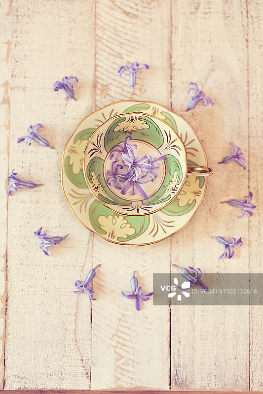 风信子插花老式茶杯图片素材