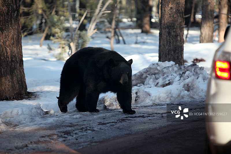 亚利桑那州贝里佐纳旅游目的地图片素材