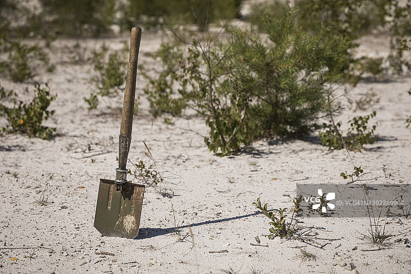 军用铲子插在沙滩上，法国内穆尔图片素材