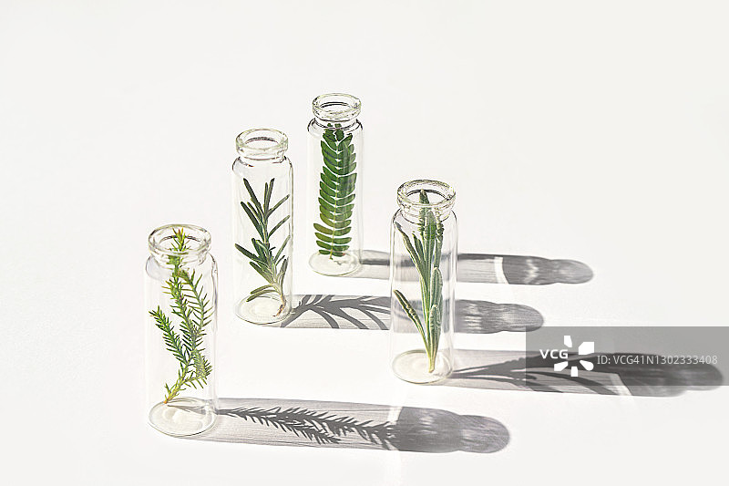 天然植物有机化妆品图片素材