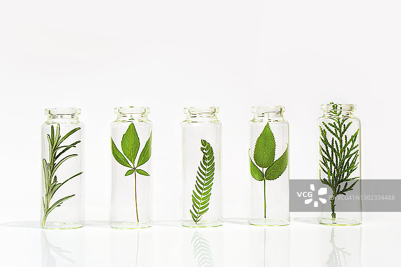 天然植物有机化妆品图片素材