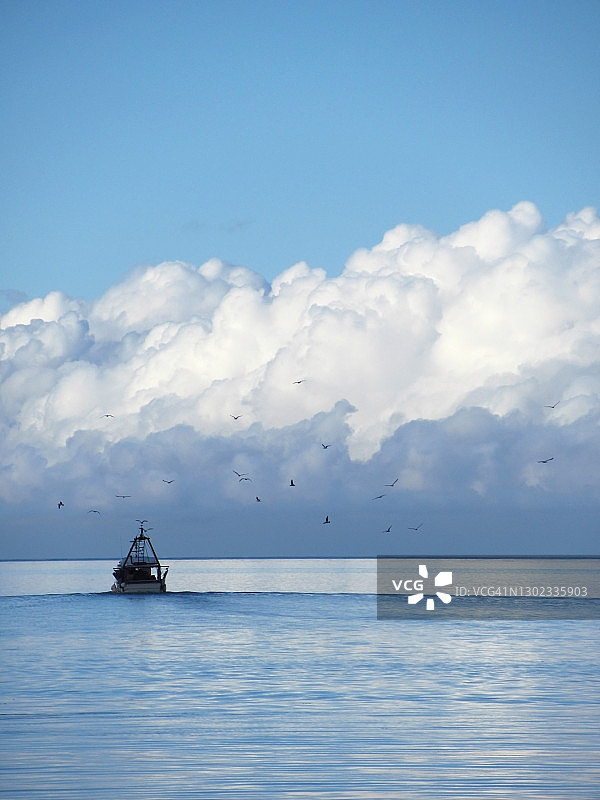 海鸥与积云映衬下的渔船图片素材
