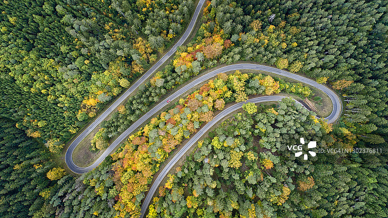 蜿蜒穿过森林的乡间小路（航拍视角）图片素材