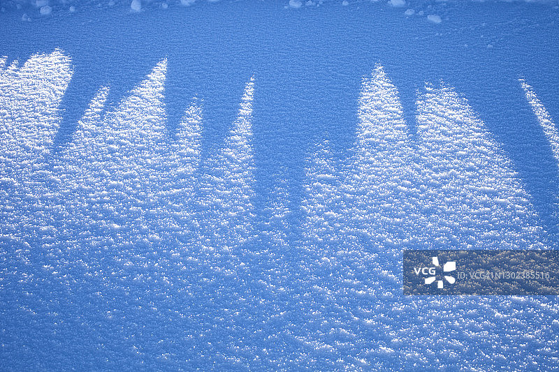 新下的雪面上的长长的影子图片素材