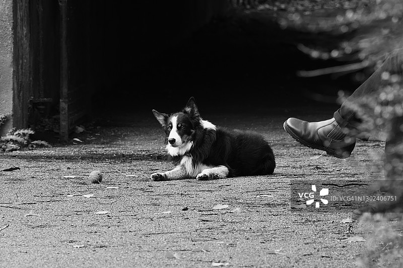 “自己拿，我累了”图片素材
