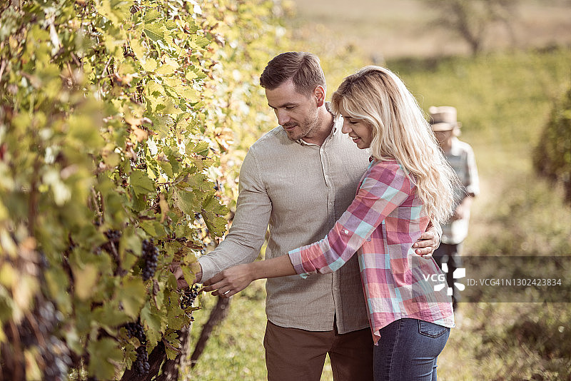 年轻夫妇和孩子在葡萄园图片素材