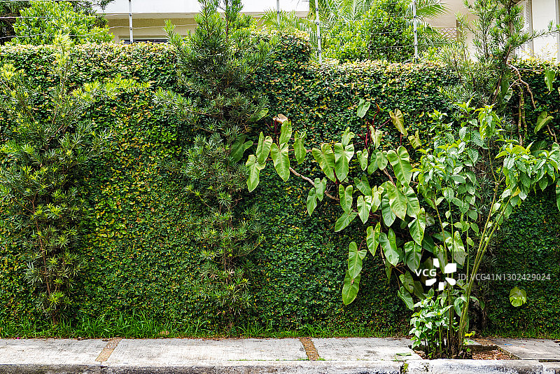 圣克里斯蒂娜街图片素材