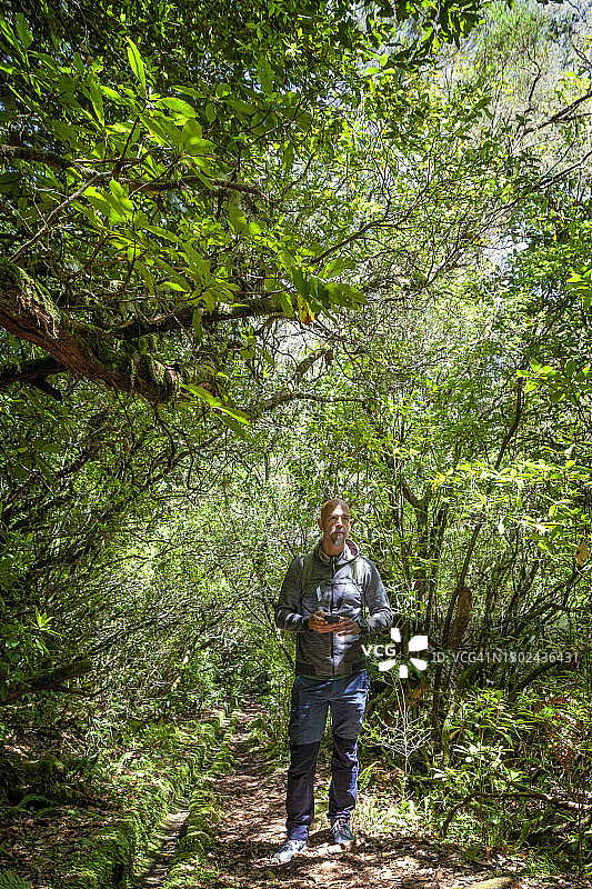 一个人走在森林里，用手机检查道路图片素材