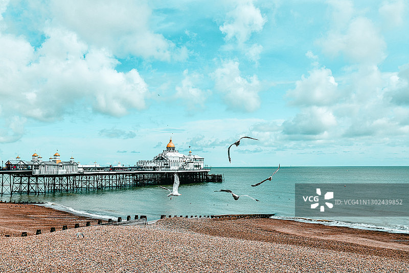 英国著名的伊斯特本码头和海鸥图片素材