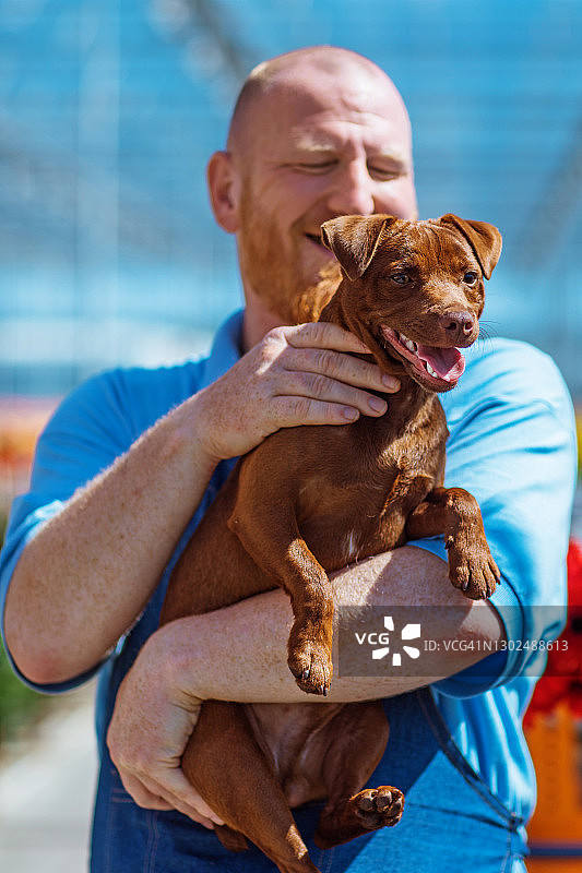 纯种幼犬肖像图片素材