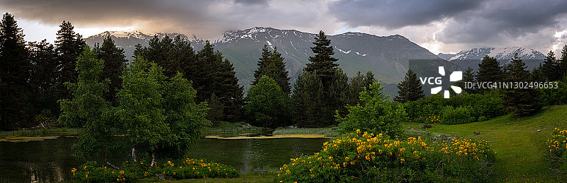 格鲁吉亚斯瓦涅季地区的雄伟松树和湖泊图片素材