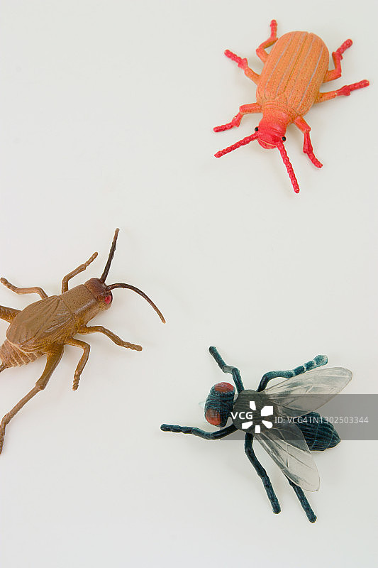 三个塑料昆虫图片素材