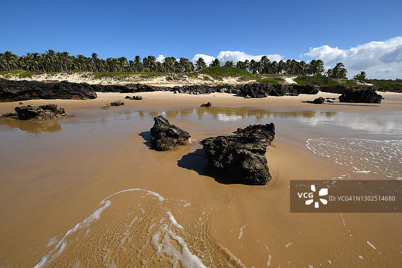 巴西塞阿拉州帕拉伊帕巴拉古因哈海滩图片素材