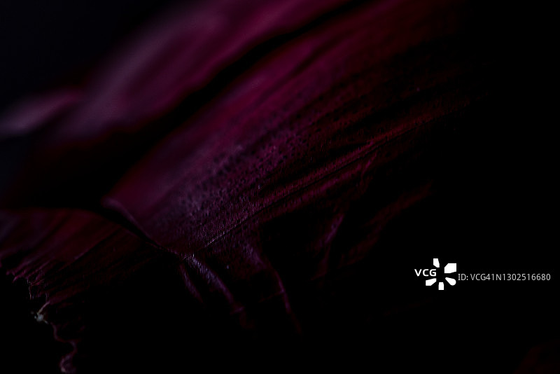 红洋葱深色表皮特写图片素材