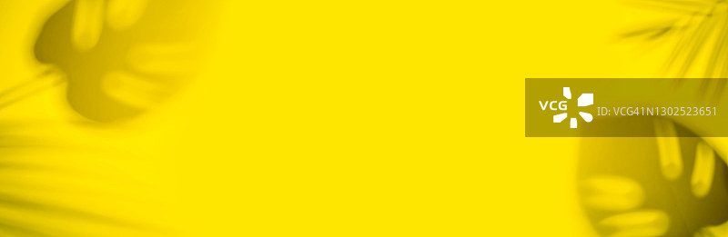 黄色背景的树叶阴影Web Banner图片素材