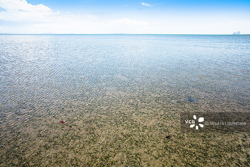 海草草甸图片素材