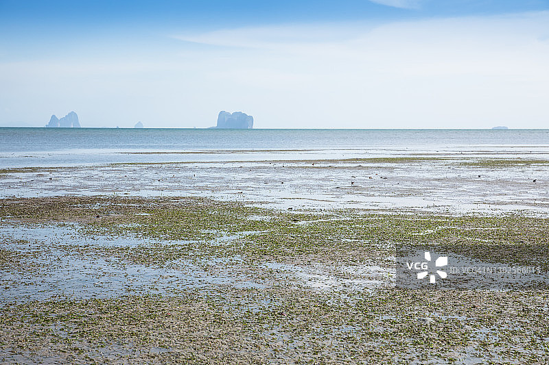 海草草甸图片素材