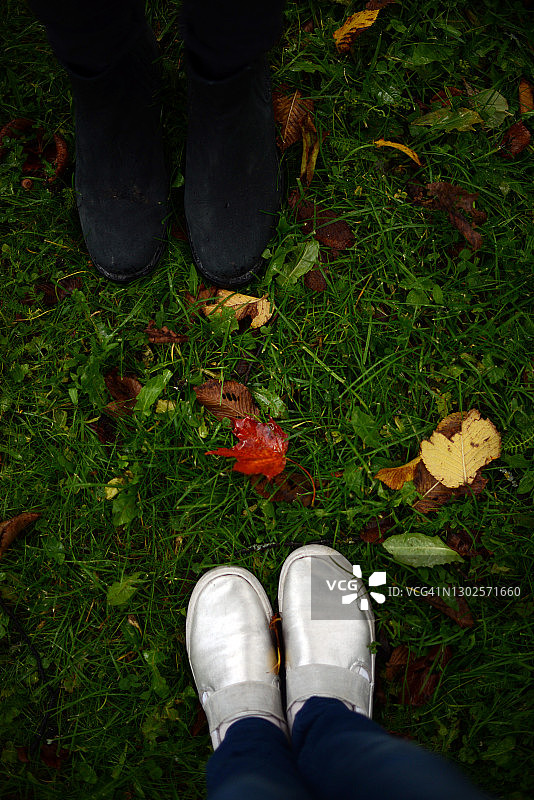 秋天的落叶图片素材