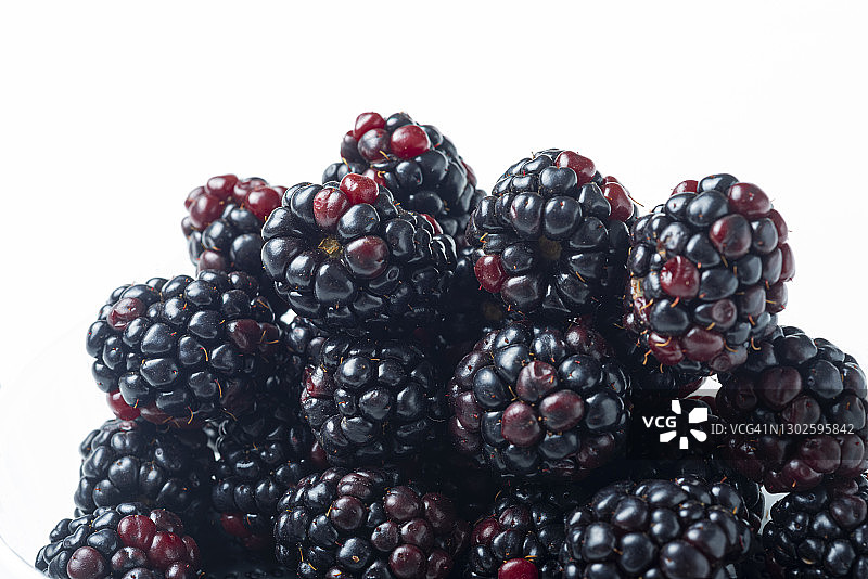 白色背景上的黑莓图片素材