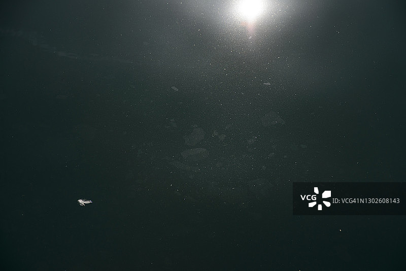 巴塞罗那港口的油污水图片素材